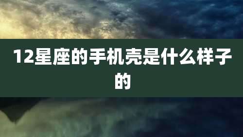 12星座的手机壳是什么样子的