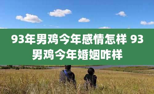 93年男鸡今年感情怎样 93男鸡今年婚姻咋样
