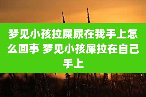 梦见小孩拉屎尿在我手上怎么回事 梦见小孩屎拉在自己手上