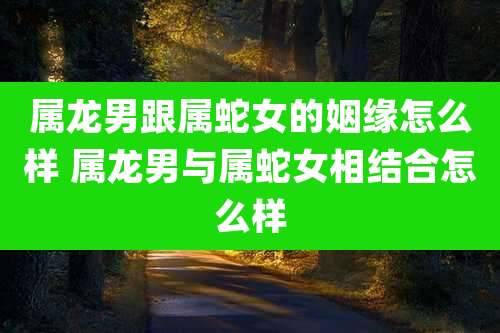 属龙男跟属蛇女的姻缘怎么样 属龙男与属蛇女相结合怎么样