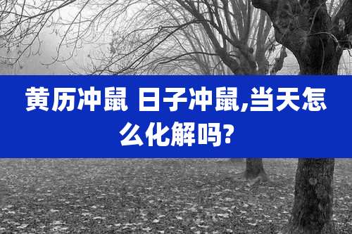 黄历冲鼠 日子冲鼠,当天怎么化解吗?