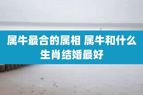 属牛最合的属相 属牛和什么生肖结婚最好