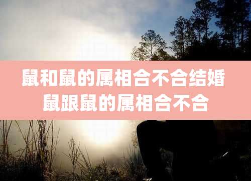 鼠和鼠的属相合不合结婚 鼠跟鼠的属相合不合