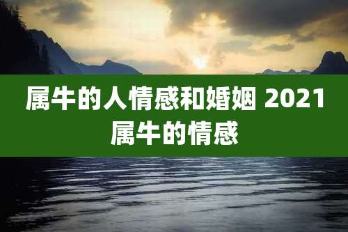属牛的人情感和婚姻 2021属牛的情感