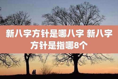 新八字方针是哪八字 新八字方针是指哪8个