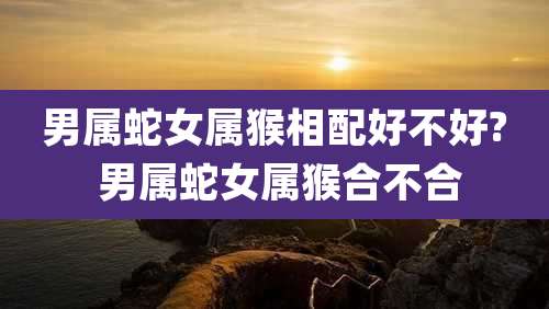 男属蛇女属猴相配好不好? 男属蛇女属猴合不合