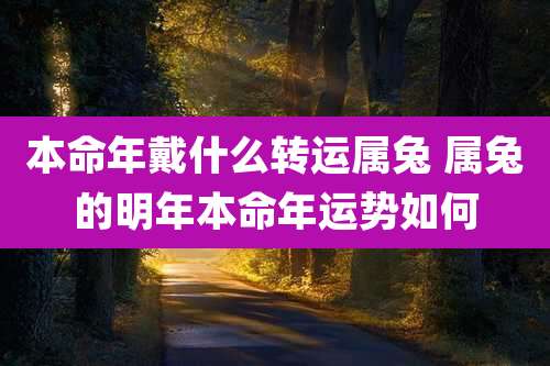 本命年戴什么转运属兔 属兔的明年本命年运势如何
