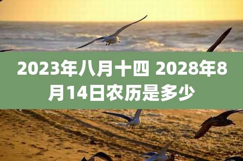 2023年八月十四 2028年8月14日农历是多少