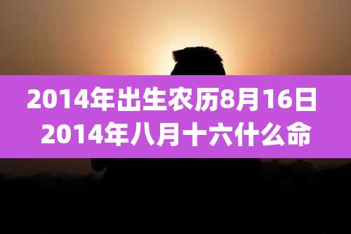 2014年出生农历8月16日 2014年八月十六什么命