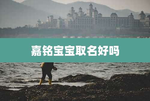 嘉铭宝宝取名好吗