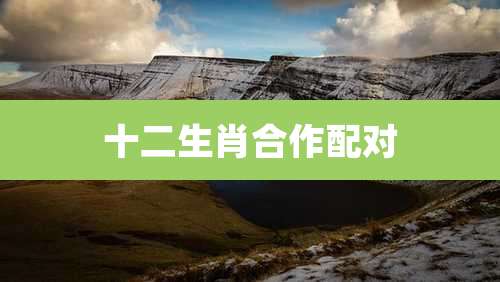 十二生肖合作配对