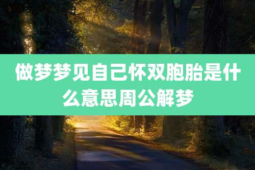 做梦梦见自己怀双胞胎是什么意思周公解梦
