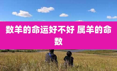 数羊的命运好不好 属羊的命数