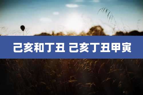 己亥和丁丑 己亥丁丑甲寅