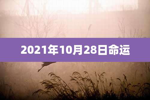 2021年10月28日命运