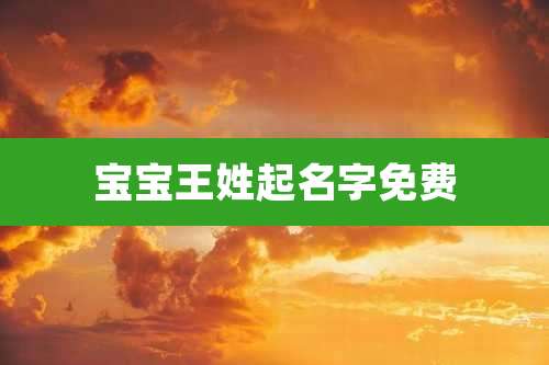 宝宝王姓起名字免费