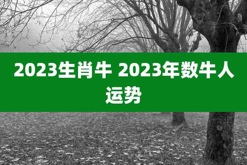 2023生肖牛 2023年数牛人运势