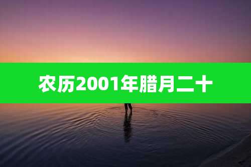 农历2001年腊月二十