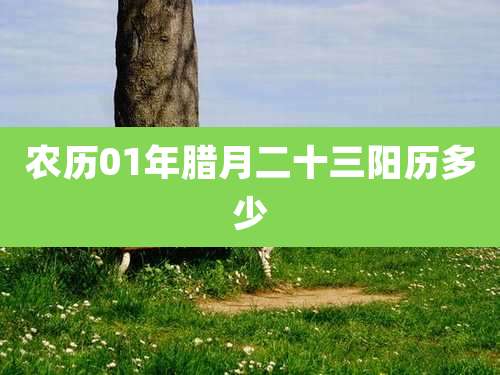 农历01年腊月二十三阳历多少
