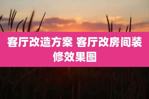 客厅改造方案 客厅改房间装修效果图