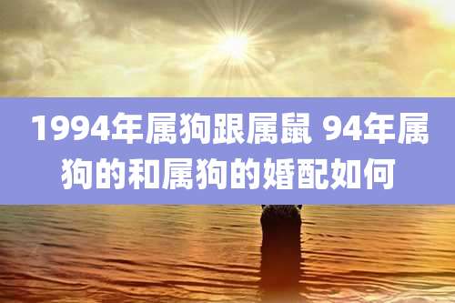 1994年属狗跟属鼠 94年属狗的和属狗的婚配如何