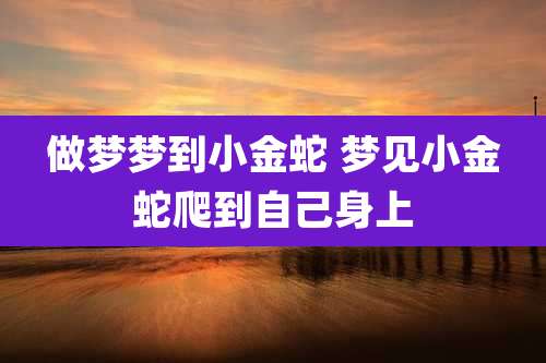 做梦梦到小金蛇 梦见小金蛇爬到自己身上