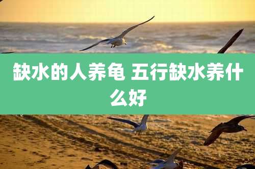 缺水的人养龟 五行缺水养什么好