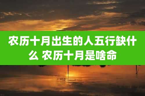 农历十月出生的人五行缺什么 农历十月是啥命