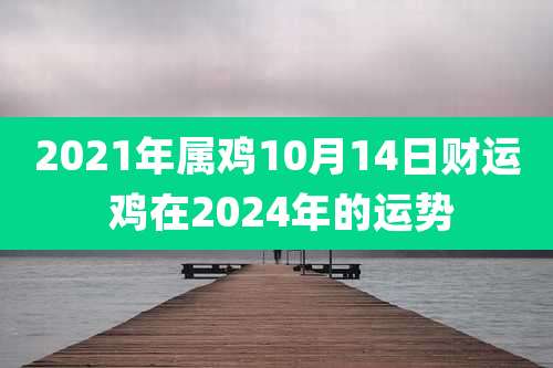 2021年属鸡10月14日财运 鸡在2024年的运势