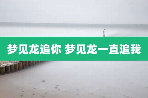 梦见龙追你 梦见龙一直追我