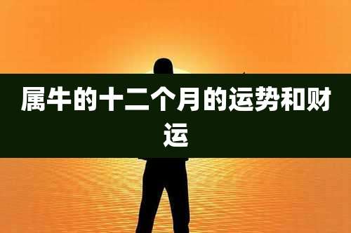 属牛的十二个月的运势和财运