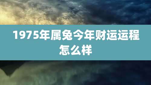 1975年属兔今年财运运程怎么样