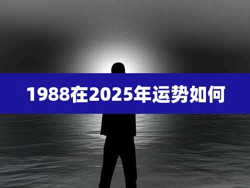1988在2025年运势如何