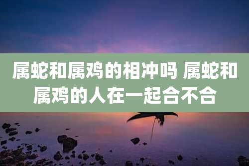 属蛇和属鸡的相冲吗 属蛇和属鸡的人在一起合不合