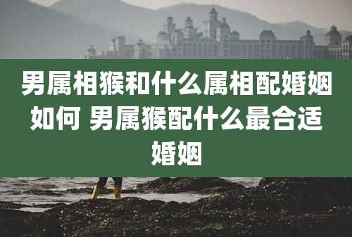 男属相猴和什么属相配婚姻如何 男属猴配什么最合适婚姻