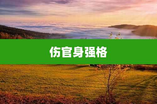 伤官身强格