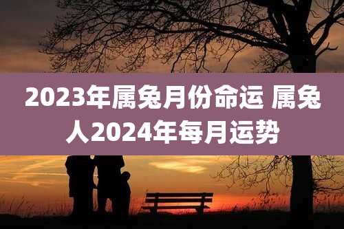 2023年属兔月份命运 属兔人2024年每月运势