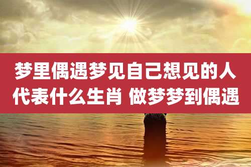 梦里偶遇梦见自己想见的人代表什么生肖 做梦梦到偶遇