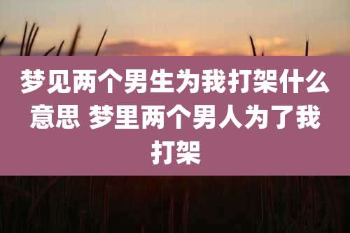 梦见两个男生为我打架什么意思 梦里两个男人为了我打架