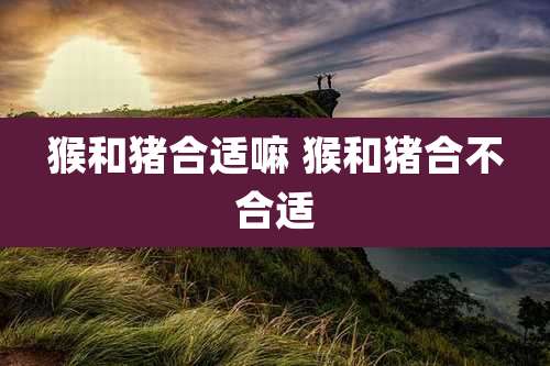 猴和猪合适嘛 猴和猪合不合适