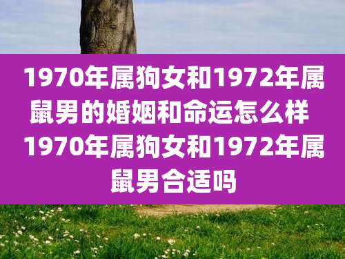 1970年属狗女和1972年属鼠男的婚姻和命运怎么样 1970年属狗女和1972年属鼠男合适吗