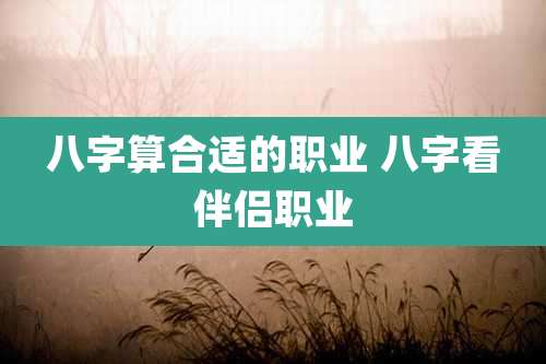 八字算合适的职业 八字看伴侣职业