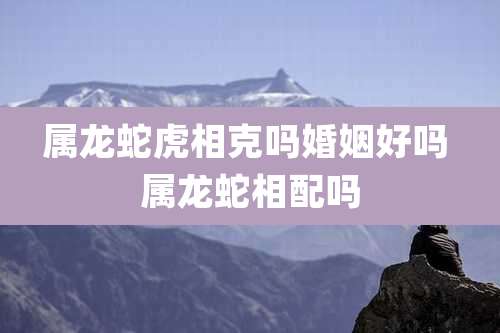 属龙蛇虎相克吗婚姻好吗 属龙蛇相配吗