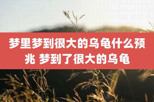 梦里梦到很大的乌龟什么预兆 梦到了很大的乌龟
