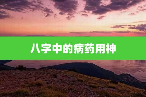 八字中的病药用神