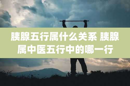 胰腺五行属什么关系 胰腺属中医五行中的哪一行
