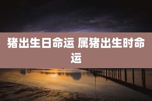 猪出生日命运 属猪出生时命运