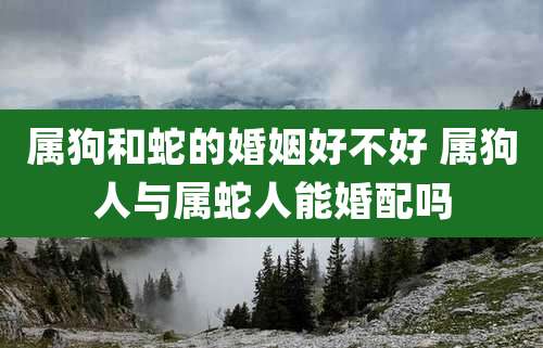 属狗和蛇的婚姻好不好 属狗人与属蛇人能婚配吗