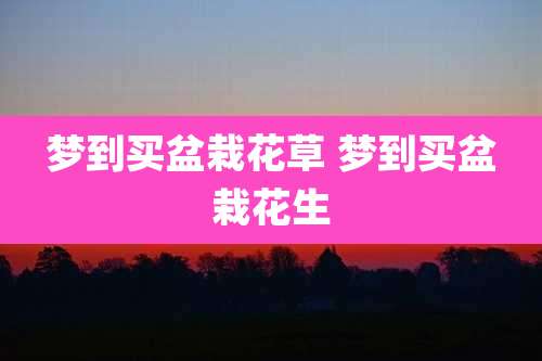 梦到买盆栽花草 梦到买盆栽花生