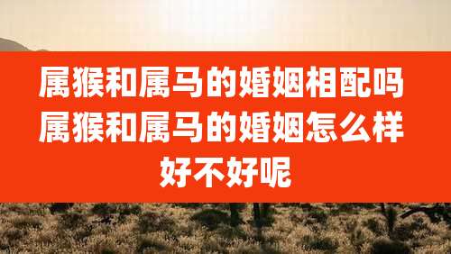 属猴和属马的婚姻相配吗 属猴和属马的婚姻怎么样 好不好呢